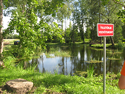 metsamoisa tiik 12